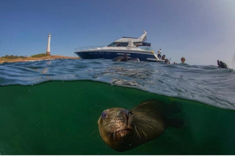 Punta del Este Internacional